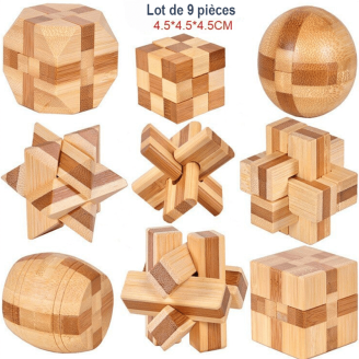 lot de 9 pièces casse tete en bois